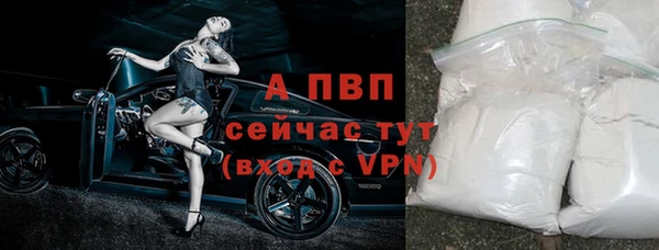 спиды Арсеньев