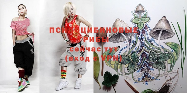 спиды Арсеньев